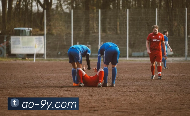 九游官网APP 封面图